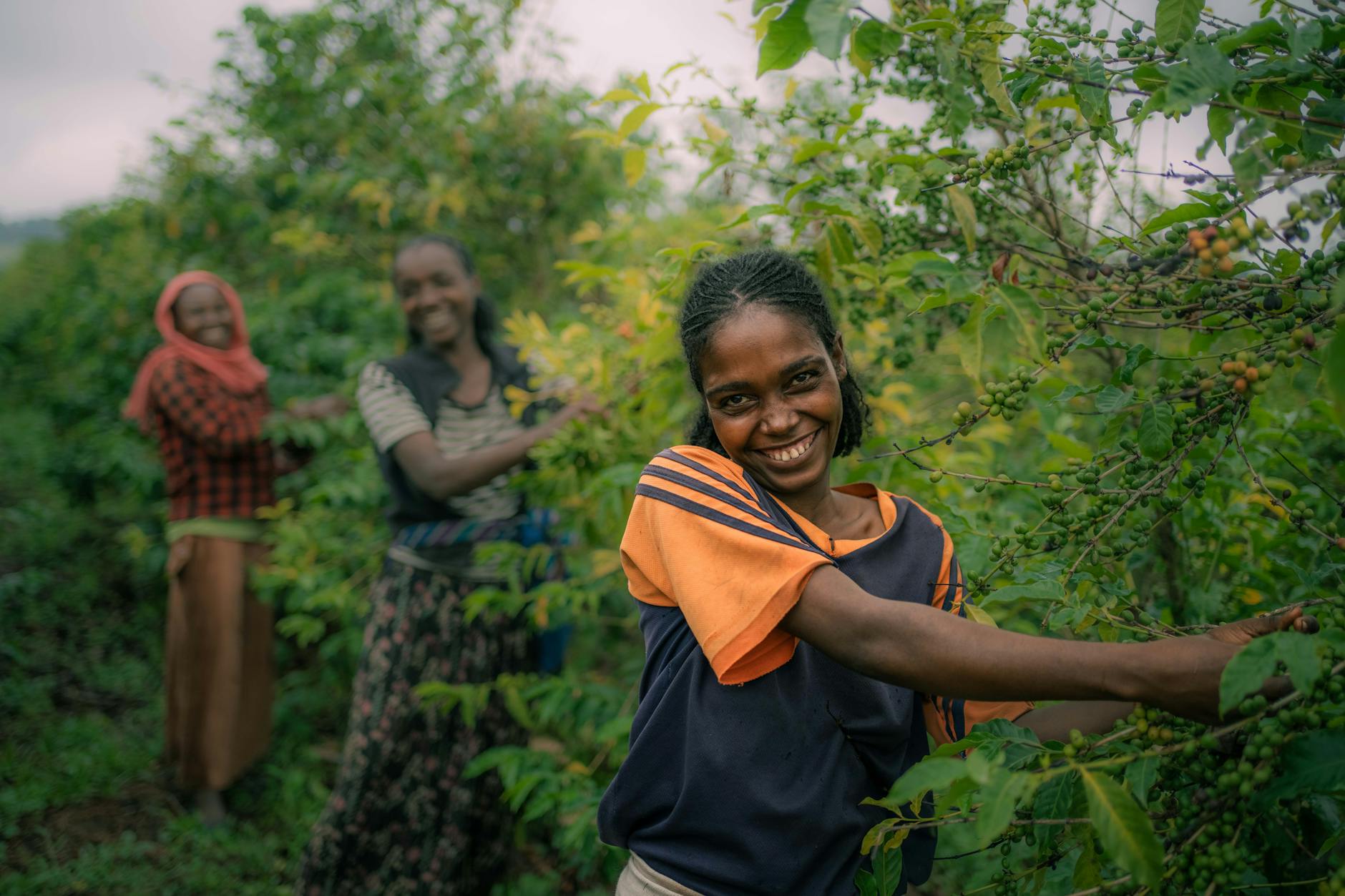 Ethiopia