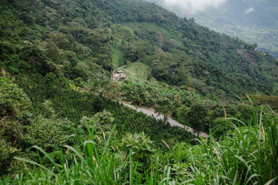 Venezuela